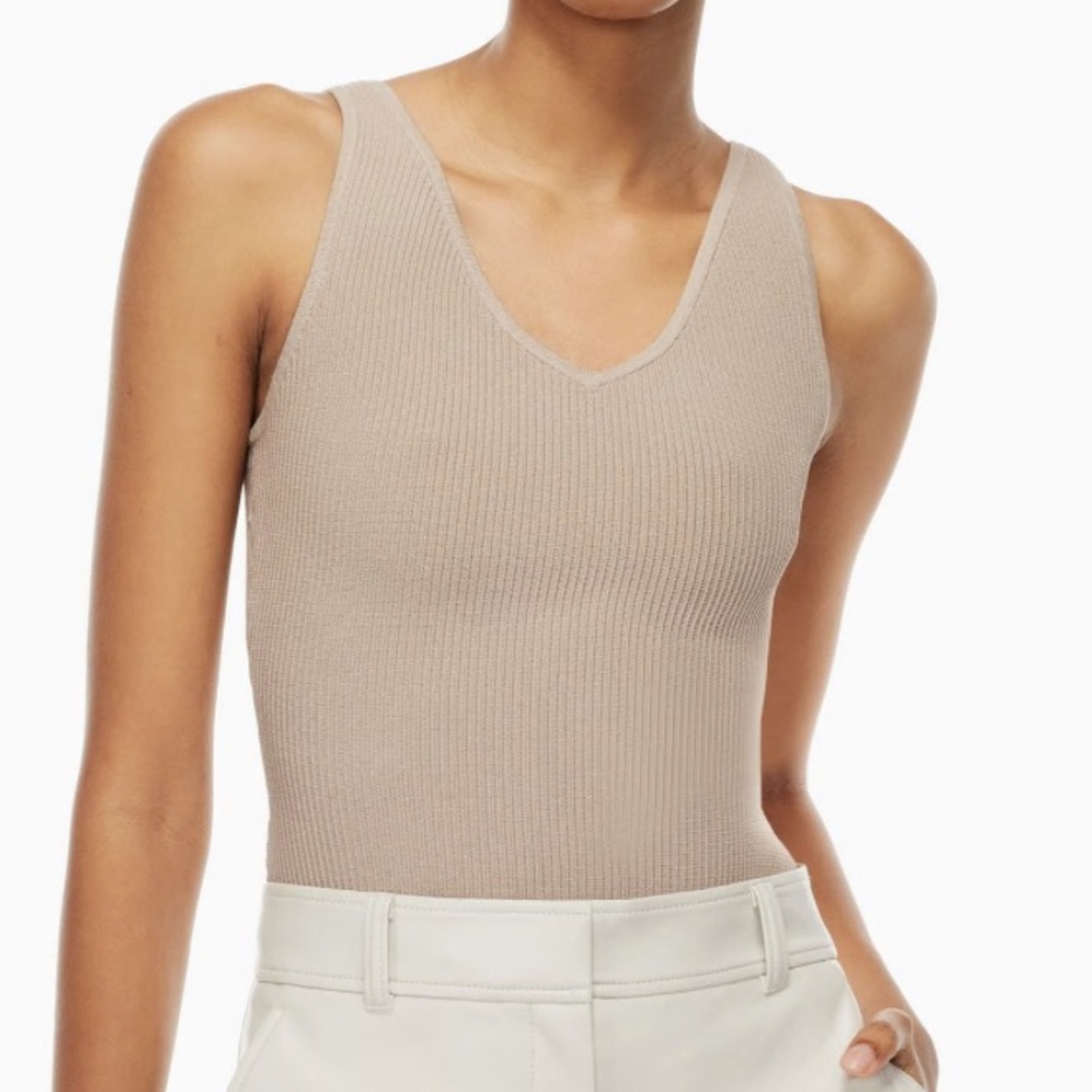 Aritzia Babaton Blue Sculpt Knit V-Neck Tank